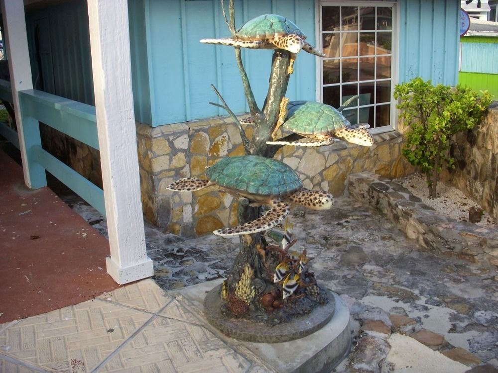Two Turtles Inn จอร์จทาวน์ ภายนอก รูปภาพ